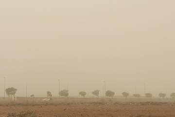 Una densa calima cubre el cielo de Telde (Foto Jesús Ruiz, TA y Antonio Rico)